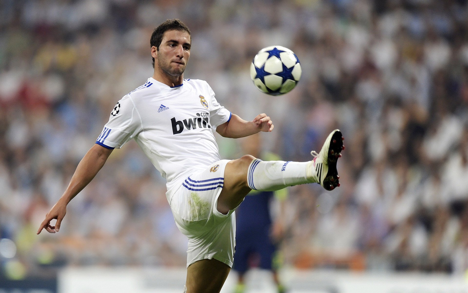 澳大利亚橄榄球:青训体系为全球橄榄球培养未来之星,澳大利亚橄榄球介绍